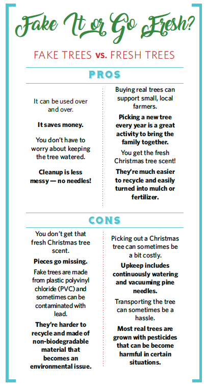 Learn How To Pick The Best Christmas Tree! - Giggle Magazine