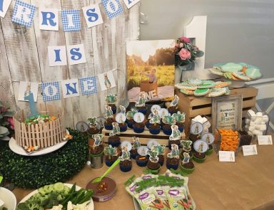 Peter Rabbit birthday set up