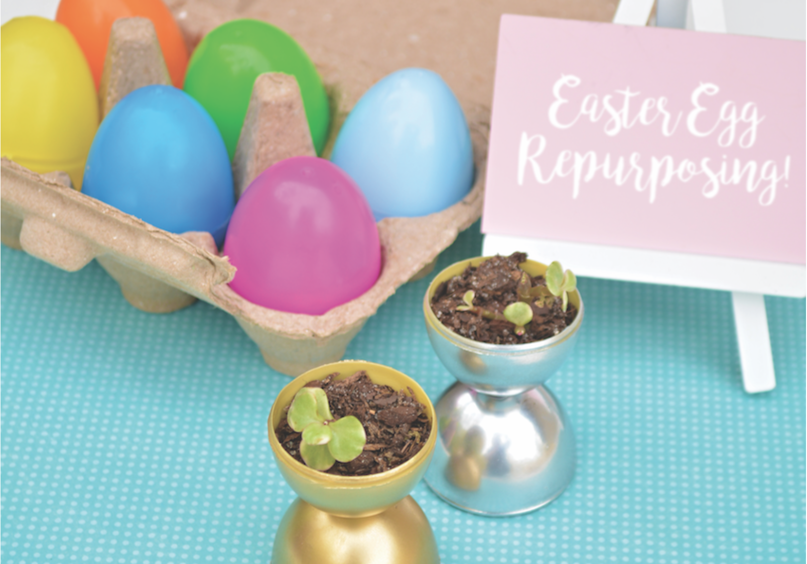 Mini egg planter DIY