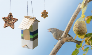 Milk carton bird feeder