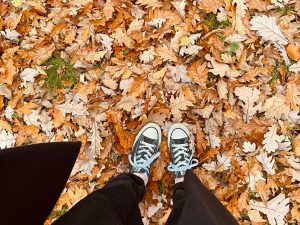 Person standing in pile of leaves