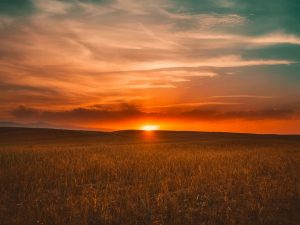 Image of sunset